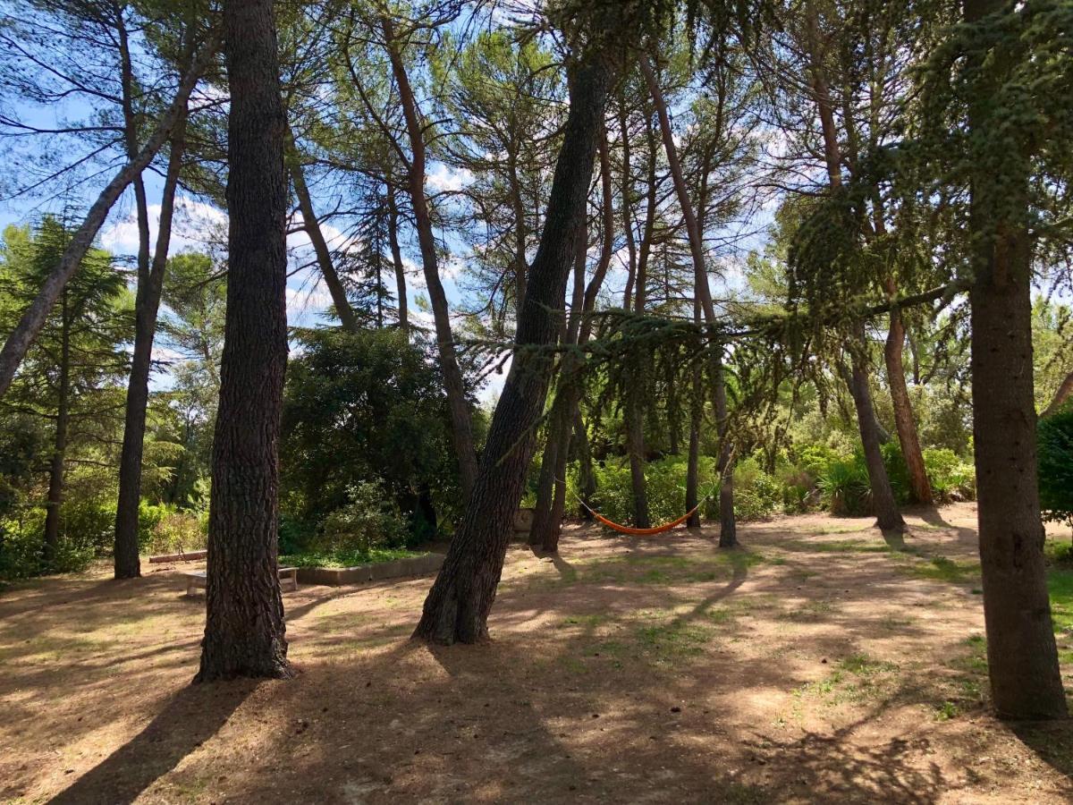 Chambres Dans Le Luberon - Bois Romay La Bastide-des-Jourdans Экстерьер фото